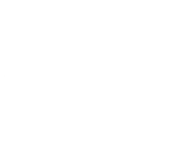 voodoo.software